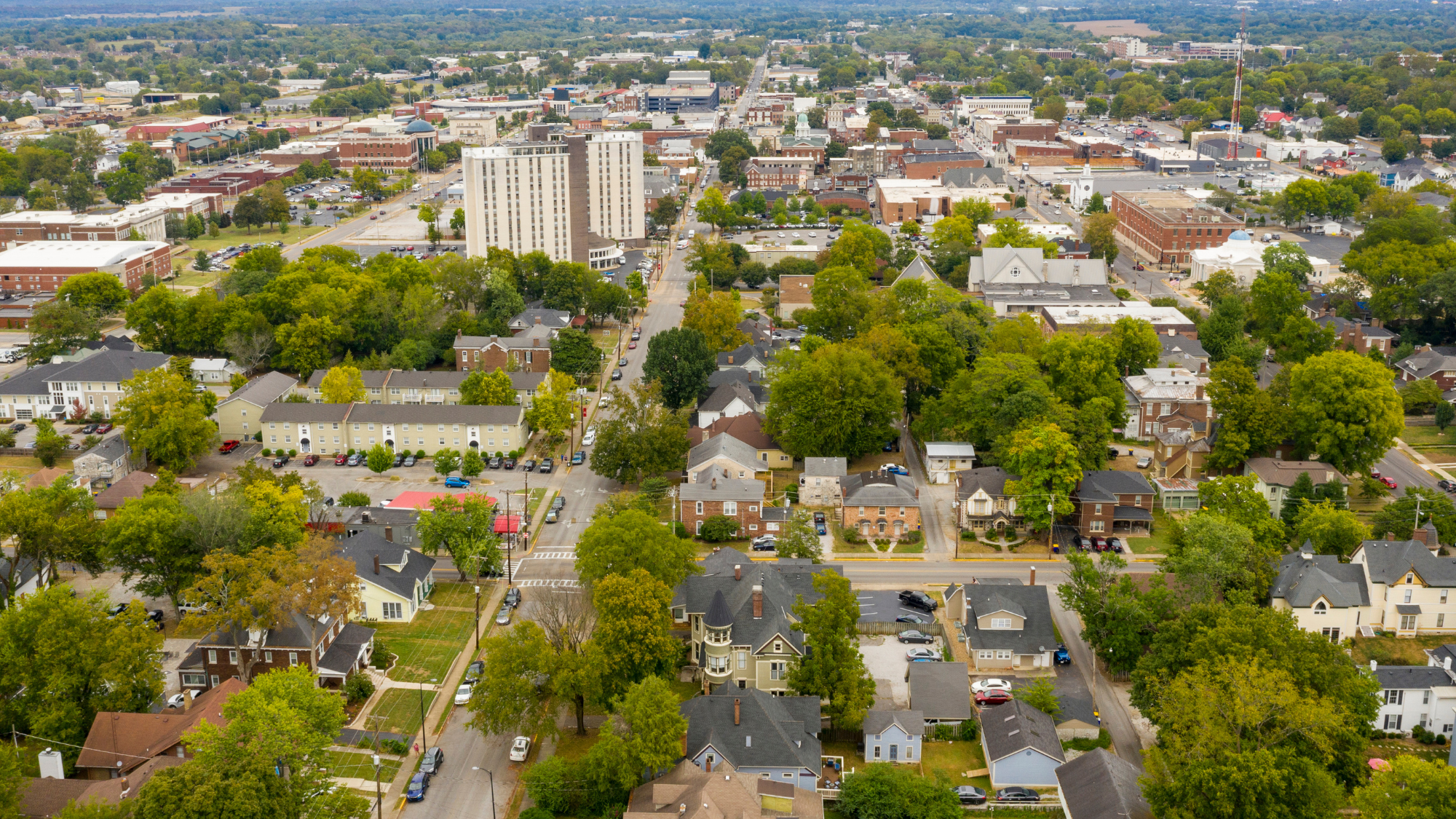 Website Services Images 169 (10)